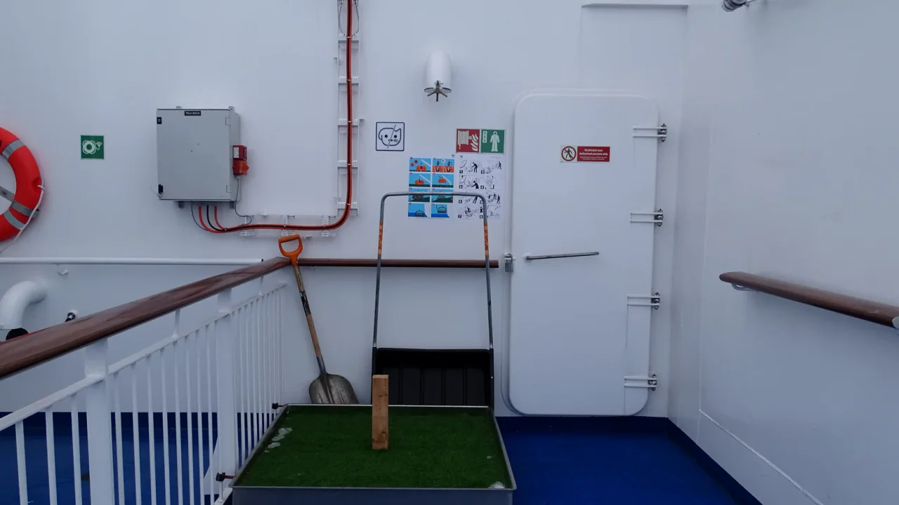 Dedicated pet facilities aboard Aurora Botnia